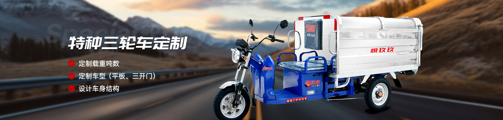 Custom Special Tricycles