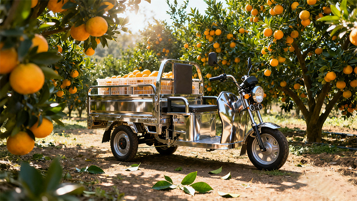 YuejiujiuLoad Capacity王Stainless Steel Electric Tricycles：赣州果农 “Good harvest helper”